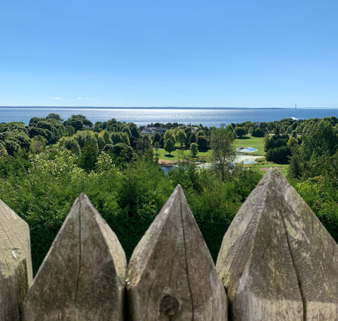 Mackinac Island Views