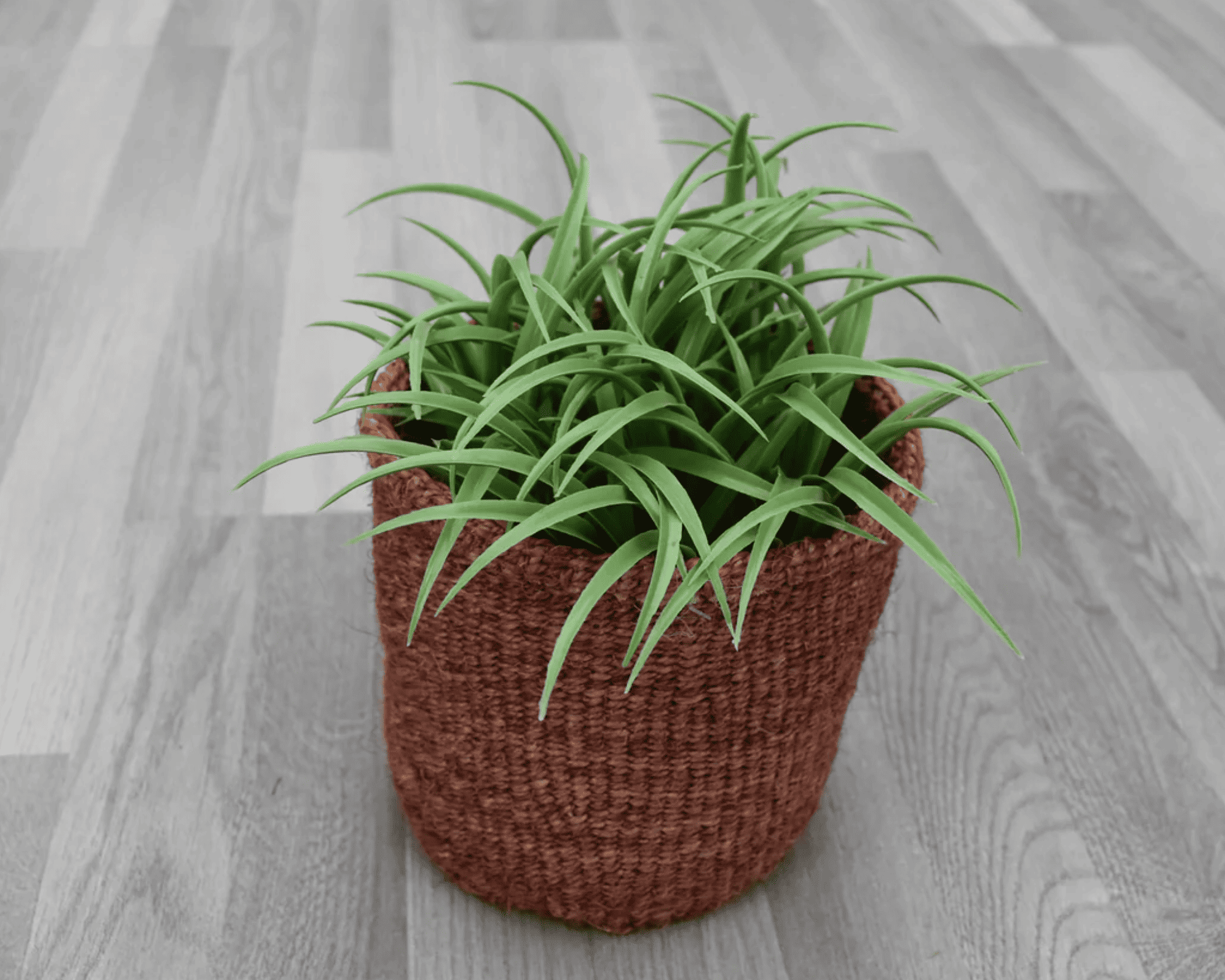 Benefits of African Planter Baskets: Rufina Designs African Planter basket