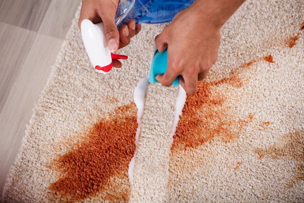 How to Get Blood out of Carpet (Complete Guide)