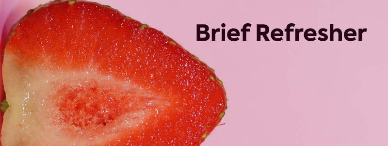 Image of a strawberry on a blush pink background with the text "brief refresher". 