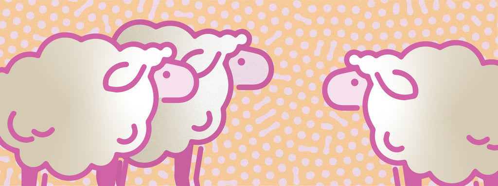 Three sheep are shown on an orange background.