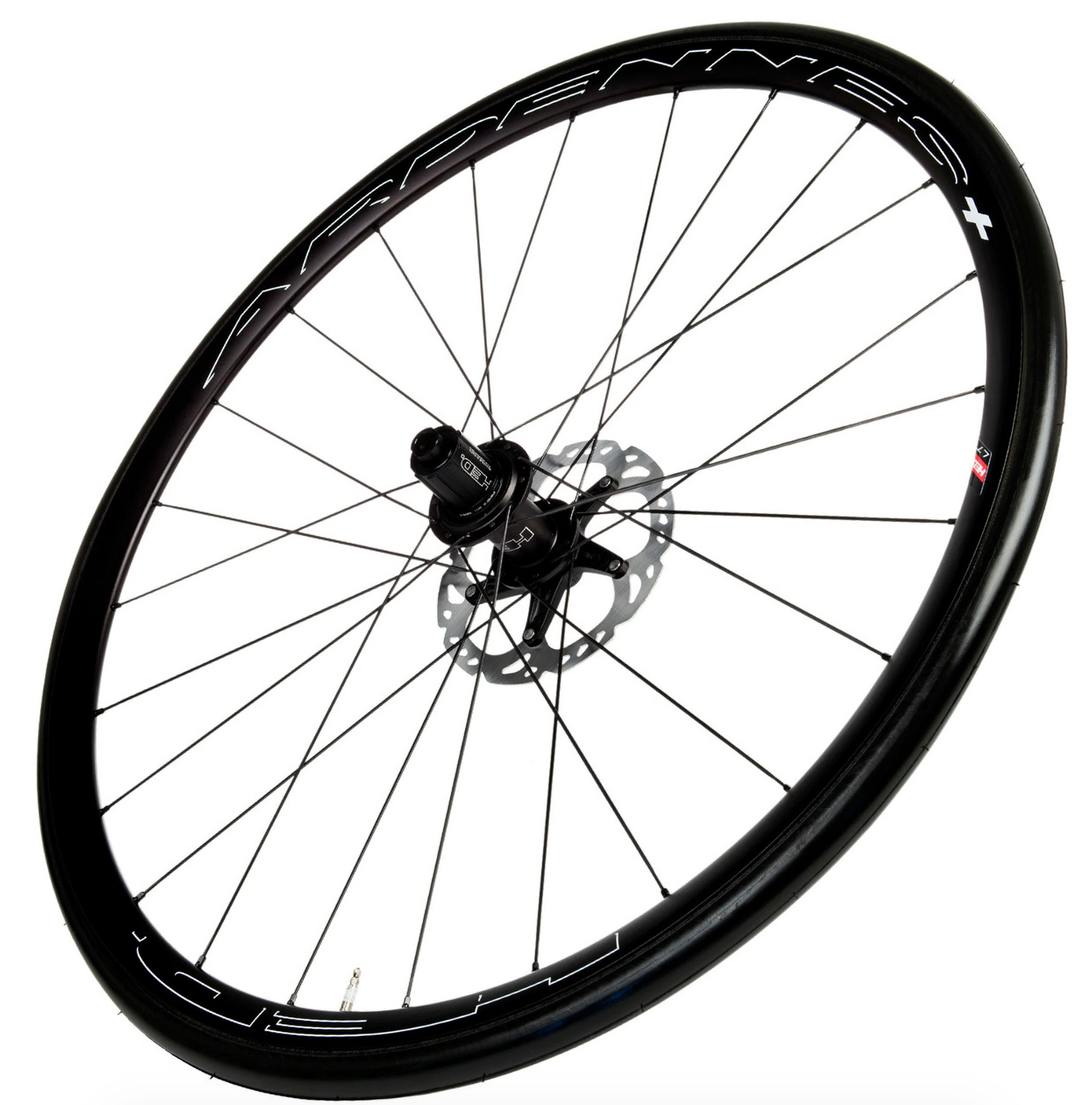 Wheelset: HED Ardenne GP Plus - Greenstreet Cycles