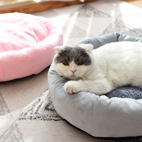 farm city pets plush luxury cat beds