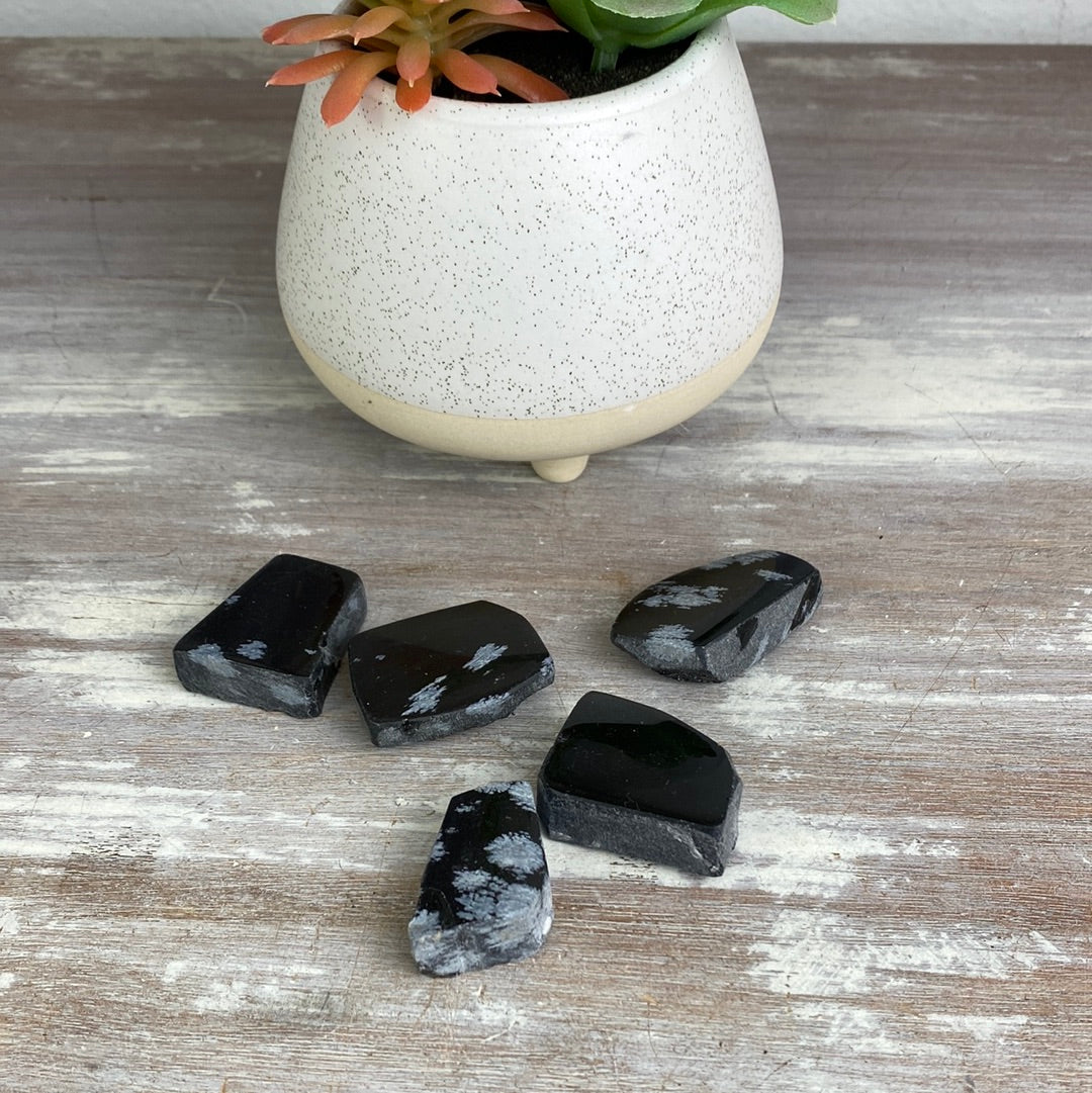 Snowflake Obsidian Black Polished 2"