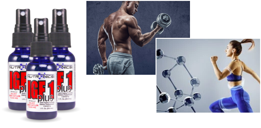 Chemical Guys Spray Bottles - Free Shipping on Orders Over $109 at