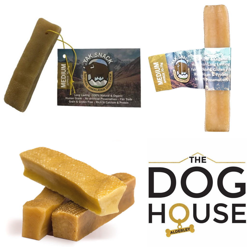 dog house snack