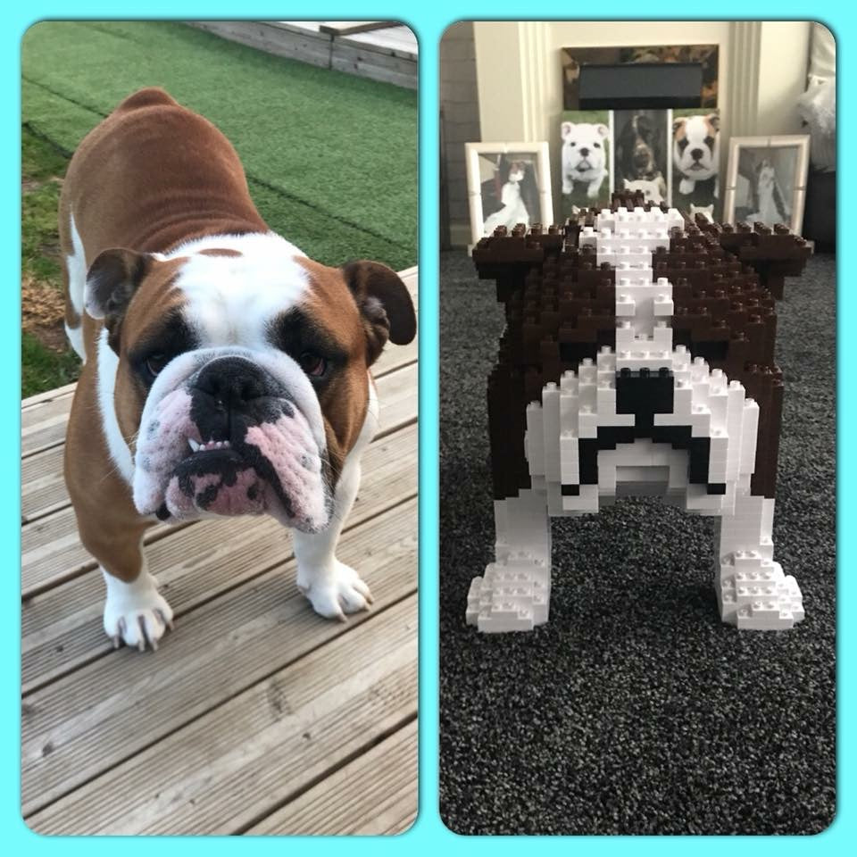 english bulldog lego set