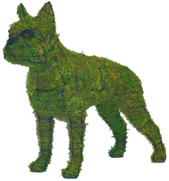 Boston Terrier Topiary Wire Frame – Alderley Dog House