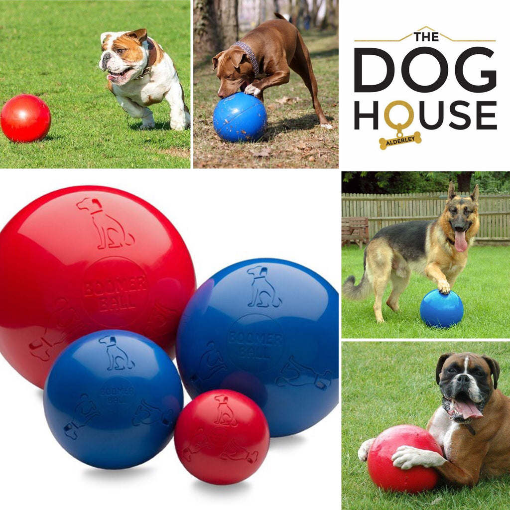 boomer ball for dogs