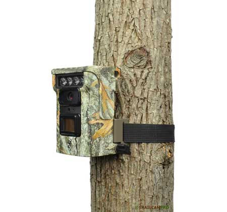 Browning Defender 850 on tree trail camera review