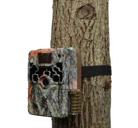 Browning Strike Force Elite trail camera