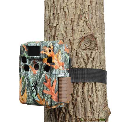 trail camera review