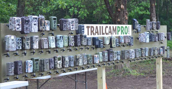 detection shootout - wildlife cameras