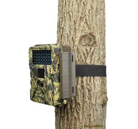 trail camera review