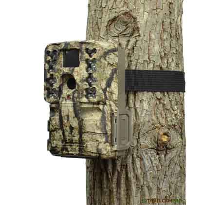 Moultrie M40 Game Camera Review