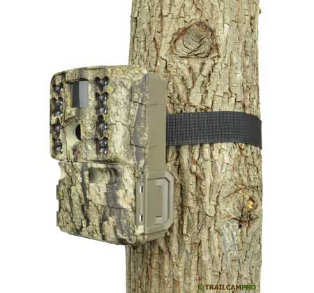 Moultrie M50i game camera review