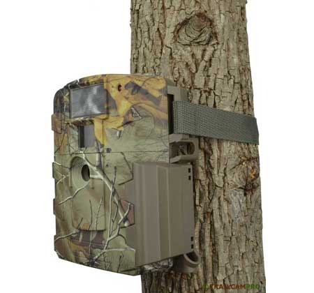 moultrie white flash game camera review