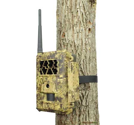 US Cellular trail camera review