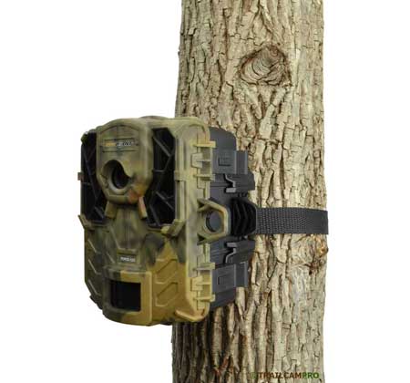 spypoint force 11d on a tree