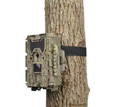 trail camera review