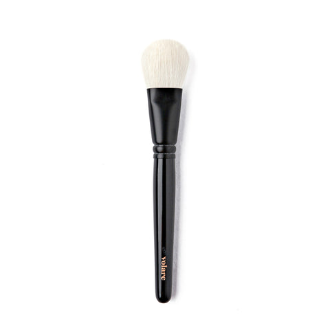 F03 – Blush/Powder Brush