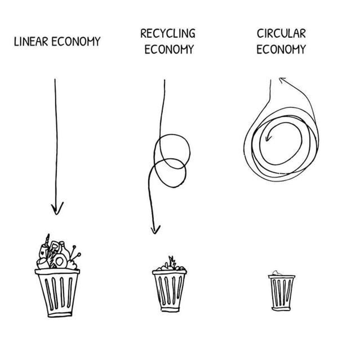 "The circular economy is a systems solution framework that tackles global challenges like climate change, biodiversity loss, waste, and pollution" - Ellen MacArthur Foundation | Citizen Wolf