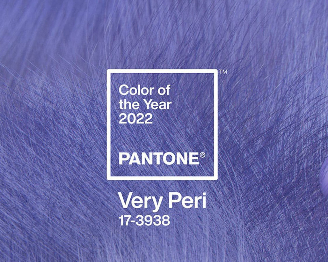 Meet Very Peri, Pantone Colour of the Year 2022: now available in limited edition for Women's and Men's Magic Fit® T-shirts | Citizen Wolf