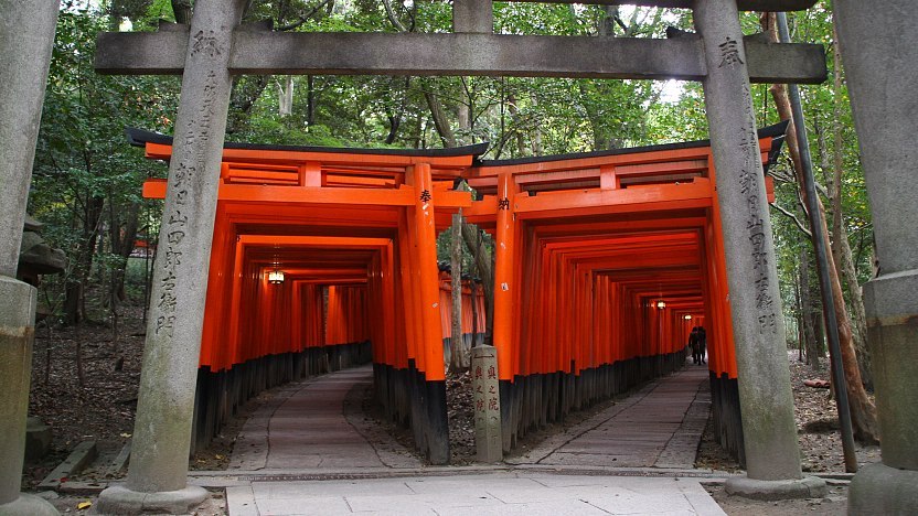 Limied Edition Torii Orange T-shirts inspired by Fushimi Inari Taisha | Citizen Wolf