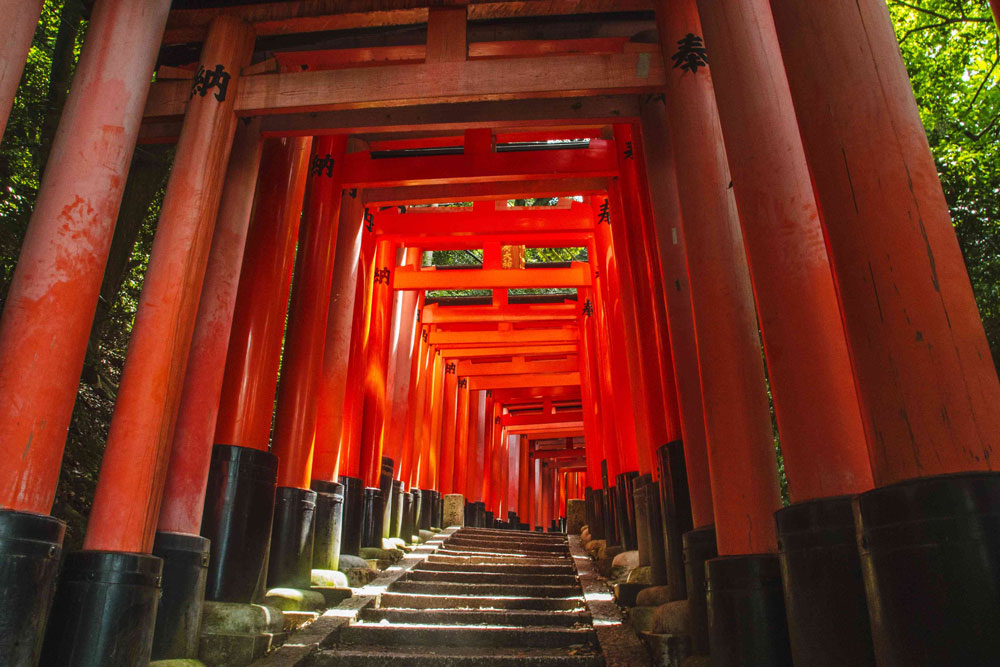 Fushimi Inari Taisha, inspiration for our Torii Orange T-shirts | Citizen Wolf