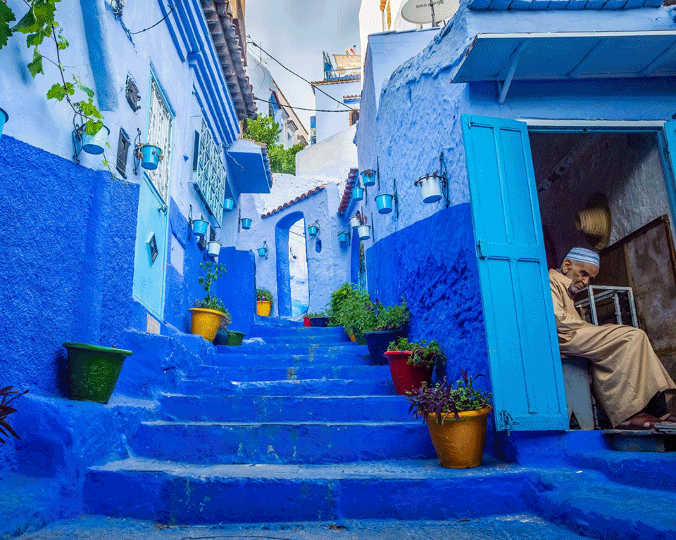 Majorelle Blue, inspired by Morocco | Citizen Wolf