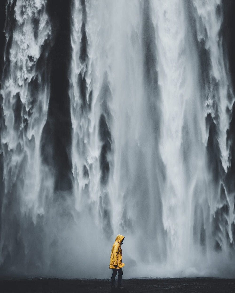 Pantone COTY Illuminating Yellow Raincoat + Ultimate Grey Waterfall