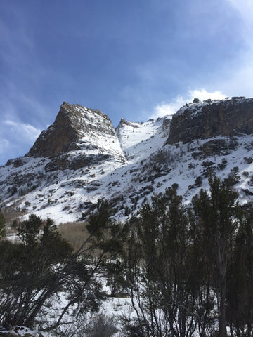 Terminal Cancer Couloir Ruby Mountains Nevada