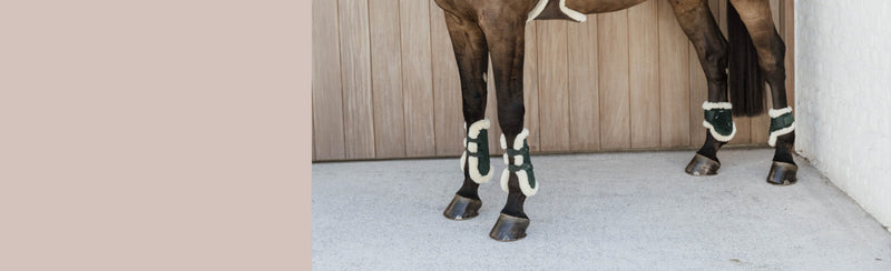 equi boots for horses