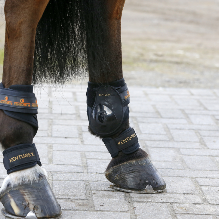 pastern boots