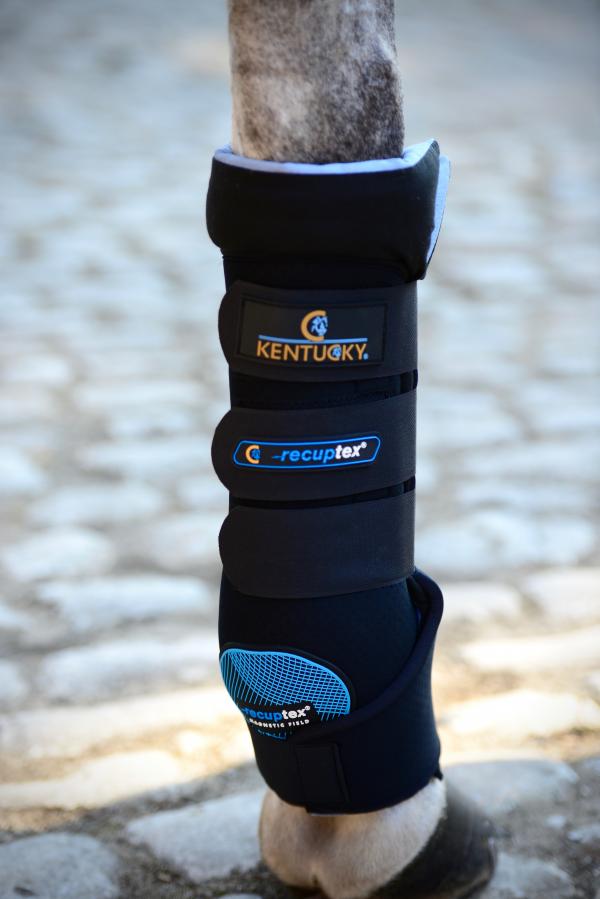 equine magnetic therapy boots