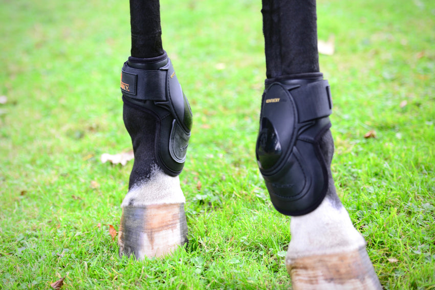 pastern boots