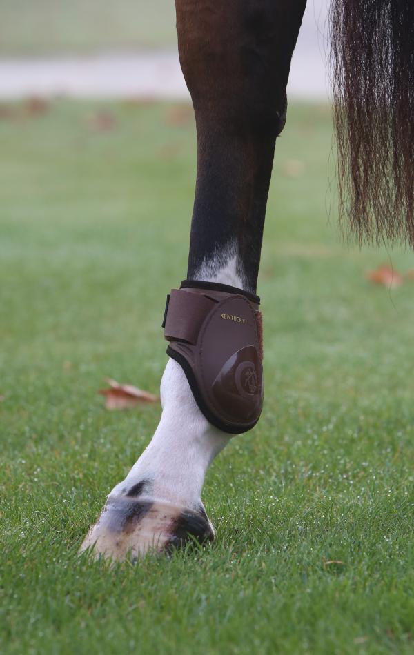 hind boots horse