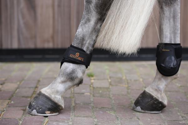 Young Horse Fetlock Boots – EquiZone Online