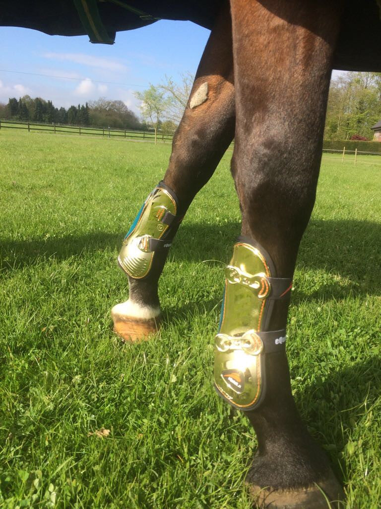 gold riding boots