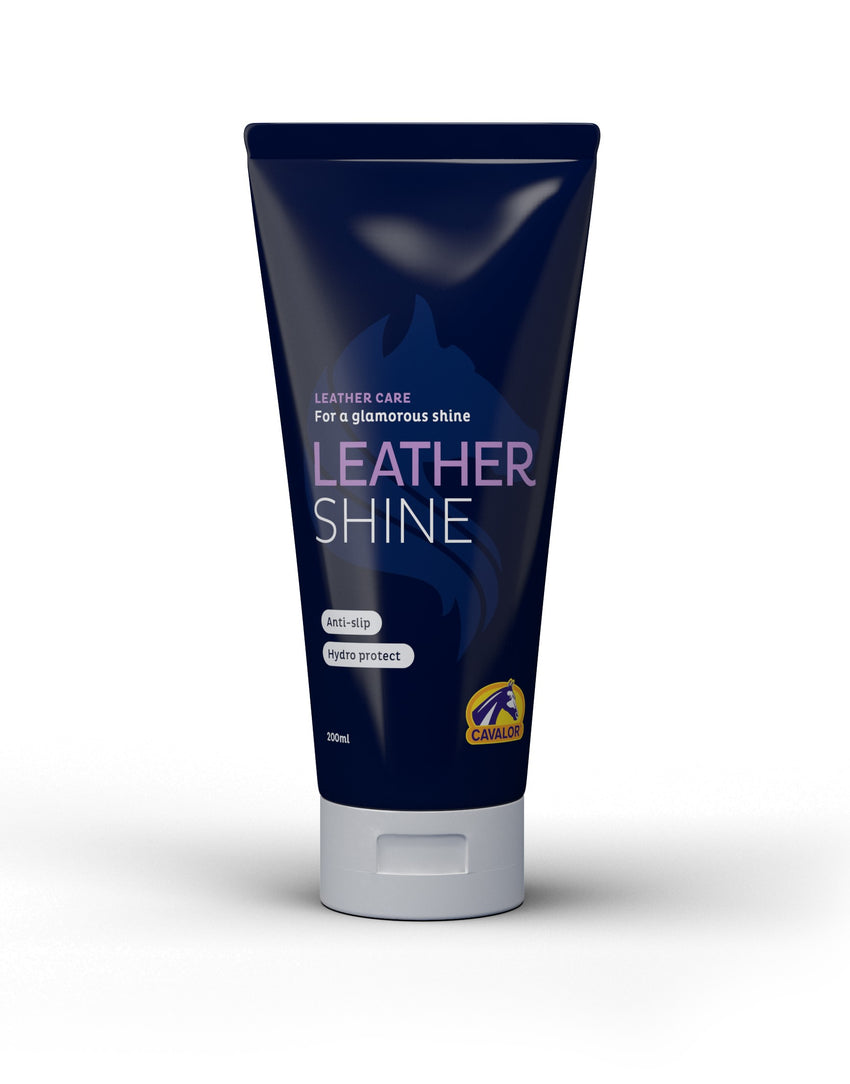 leather shine products