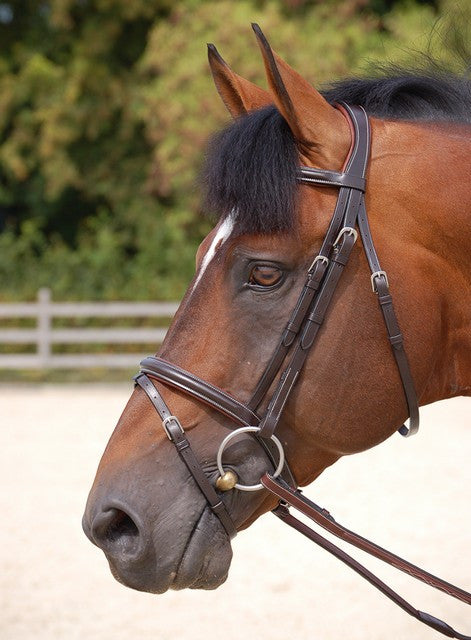 Classic Flash Noseband Bridle