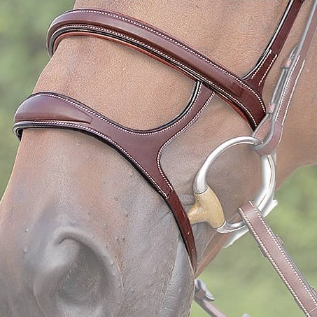 Double Noseband