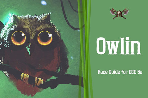 Owlin Race Guide for Dungeons and Dragons 5th Edition