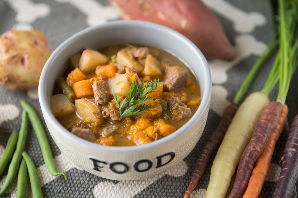 healthy beef stew recipe for dogs