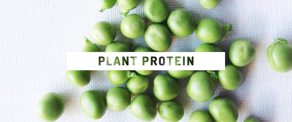 How to get more protein from a plant-based diet!