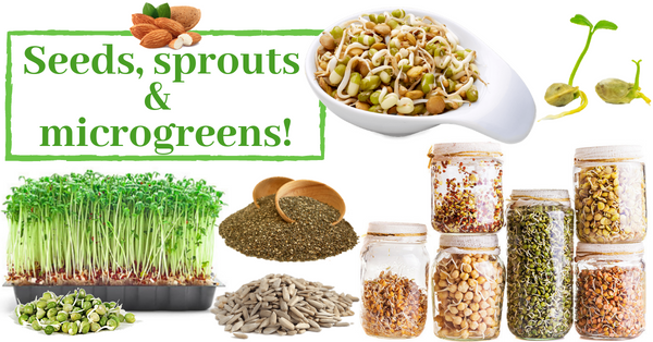 Seeds, sprouts, microgreens: how to grow sprouts at home and introduce them into your diet