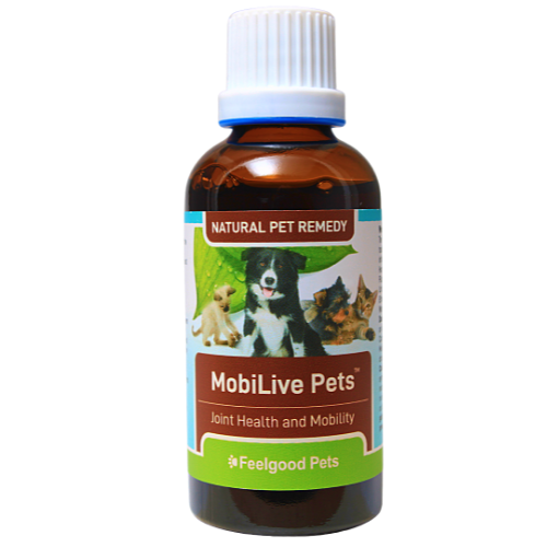 what is a natural anti inflammatory for dogs