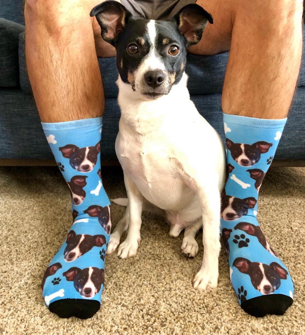 Custom Pet Socks | Tribe Socks