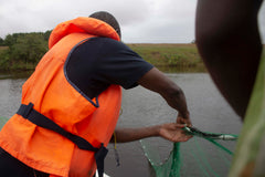 Fish specimen collection in Gabon on Iguela Lagoon