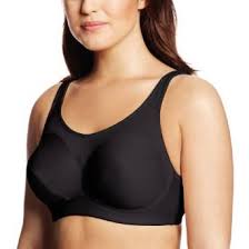 Coolmax Sports Bra